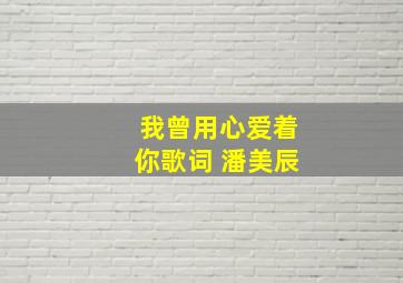 我曾用心爱着你歌词 潘美辰